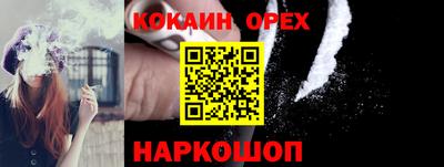 спиды Гатчина