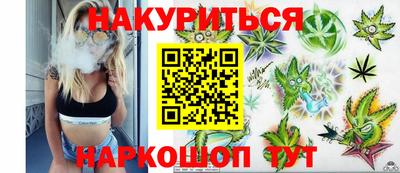 мяу мяу мука Гай