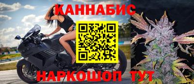 мяу мяу мука Гай