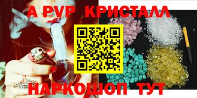 спиды Гатчина