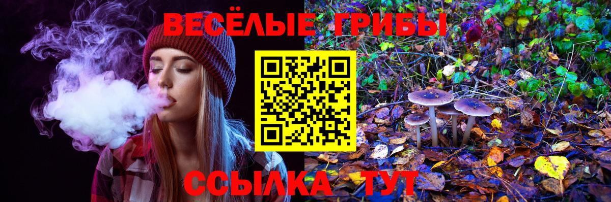 Галлюциногенные грибы GOLDEN TEACHER Краснодар