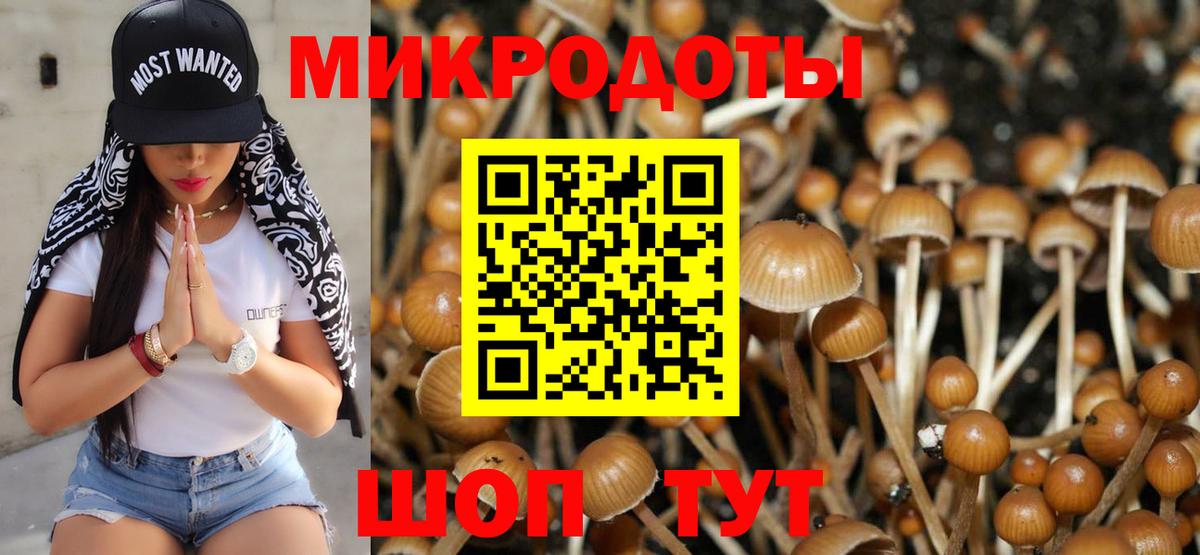 Псилоцибиновые грибы прущие грибы  Вход с VPN  Краснодар  Галлюциногенные грибы Cubensis 